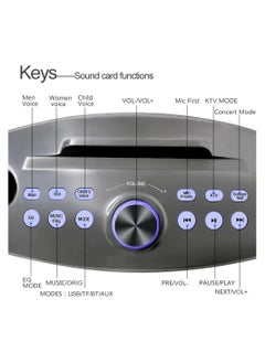 SDRD Portable Speaker Player Radio With Bluetooth Family KTV Speaker With 2 Wireless Microphones 30w Gold  - Image 5