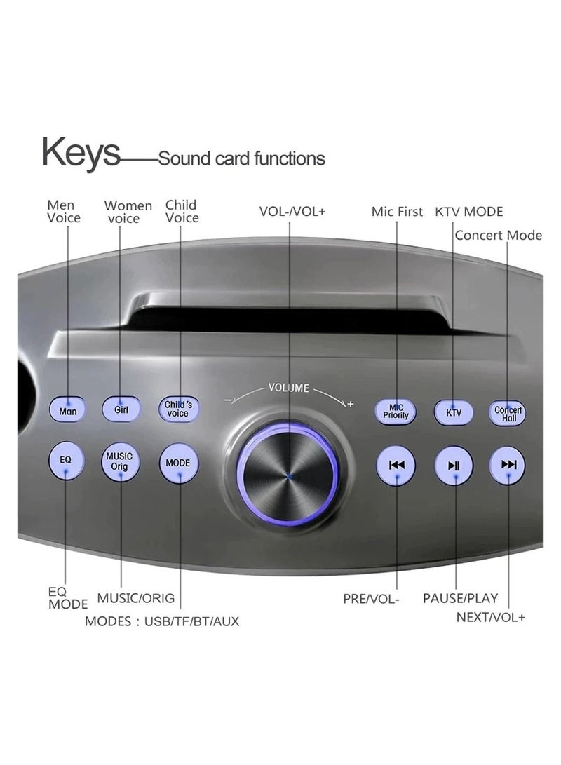 SDRD Portable Speaker Player Radio With Bluetooth Family KTV Speaker With 2 Wireless Microphones 30w Gold - Image 5
