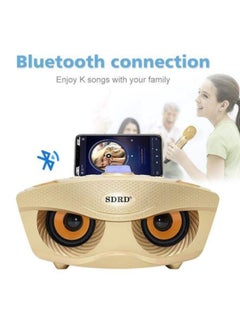 SDRD Portable Speaker Player Radio With Bluetooth Family KTV Speaker With 2 Wireless Microphones 30w Gold  - Image 3
