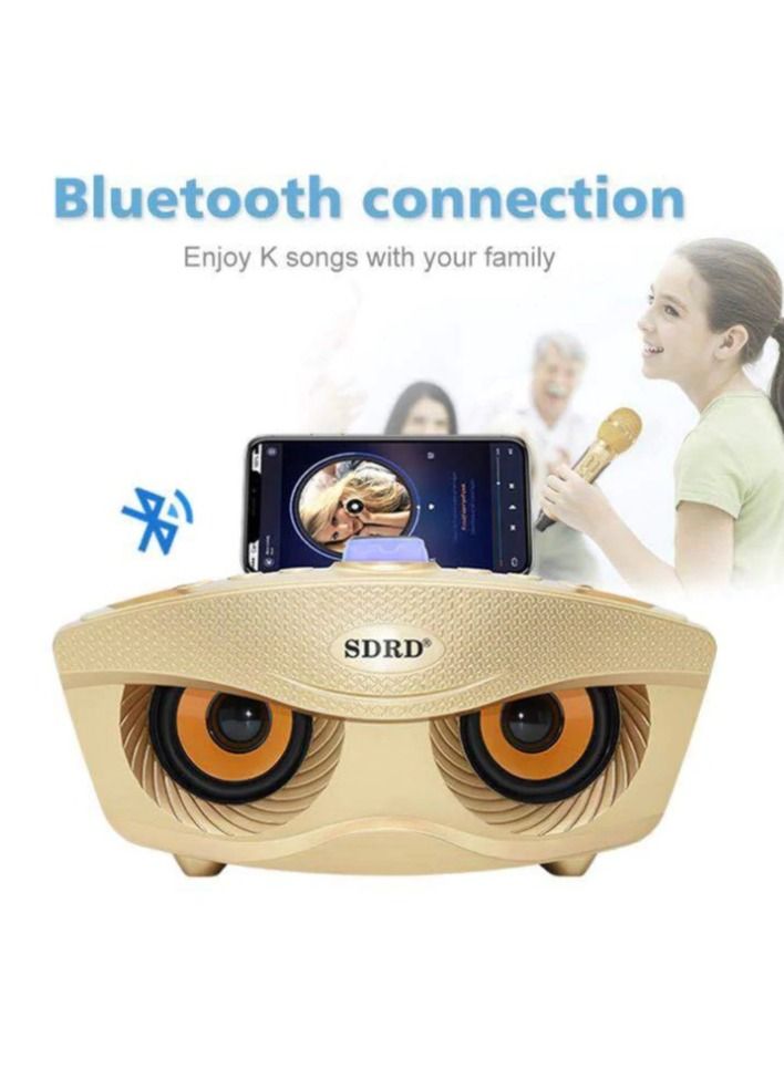 SDRD Portable Speaker Player Radio With Bluetooth Family KTV Speaker With 2 Wireless Microphones 30w Gold - Image 3