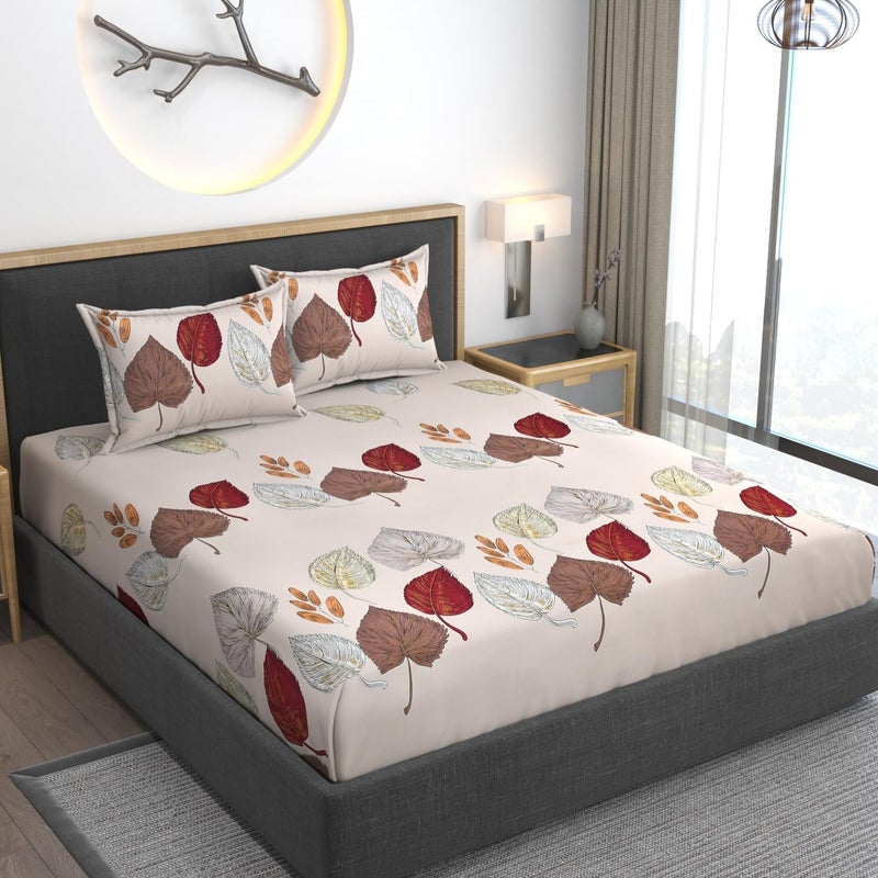 AMEYAA 350 Tc Cotton Feel Glace Cotton All Around Elastic Floral Fitted Bedsheets Queen Size|Premium Super Soft Fitted Bedsheet Queen Size For Double Bed|Fits Up To 8 To 10 Inches,78 X 60 Brown Patti - Image 4