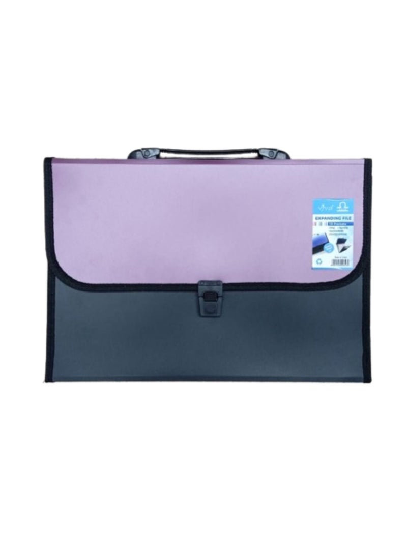 Libra 13 Pocket Expending File W/Handle Full Scape Metallic Opaque Pink/Black - Image 1
