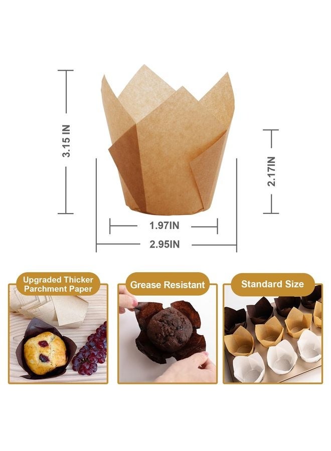 HOMESTAR 200pcs Tulip Cupcake Liners, Premium Muffin Liners Holders for Baking Cups, Greaseproof Cupcake Wrappers in Standard Size, Classic Parchment Paper Cupcakes Liner for Party, Christmas - Image 3