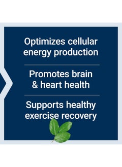 Life Extension Life Extension, Optimized Carnitine, 60 Vegetarian Capsules  - Image 4