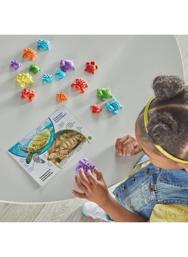 hand2mind Tactile Turtles Math Activity Set Toddler Numbers And Counting Math Counters For Kids Color Sorting Toys Sensory Turtle Game Preschool Learning Activities Montessori Math Materials  - Image 5