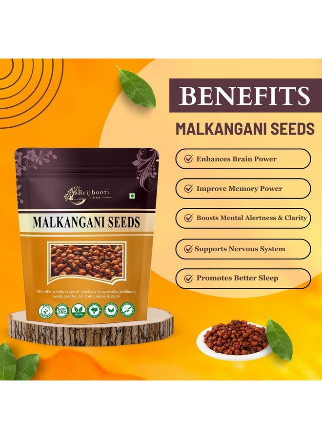 BrijBooti بريجبوتي مالكانغاني بذور 100غ | بذور مالكانغني للدماغ والذاكرة | معتمد من FSSAI و GMP و ISO | بذور جيوتيشمايتي | مالكانغني | بذور مالكاني | بذور مالكاميني الأصلية | بذور مالكانغاني - Image 2