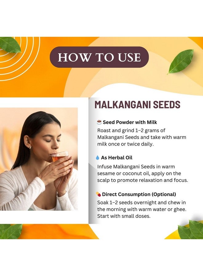 BrijBooti بريجبوتي مالكانغاني بذور 100غ | بذور مالكانغني للدماغ والذاكرة | معتمد من FSSAI و GMP و ISO | بذور جيوتيشمايتي | مالكانغني | بذور مالكاني | بذور مالكاميني الأصلية | بذور مالكانغاني - Image 3