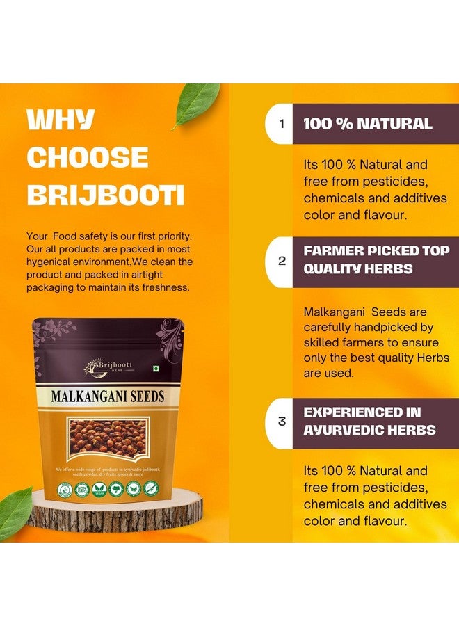 BrijBooti بريجبوتي مالكانغاني بذور 100غ | بذور مالكانغني للدماغ والذاكرة | معتمد من FSSAI و GMP و ISO | بذور جيوتيشمايتي | مالكانغني | بذور مالكاني | بذور مالكاميني الأصلية | بذور مالكانغاني - Image 5