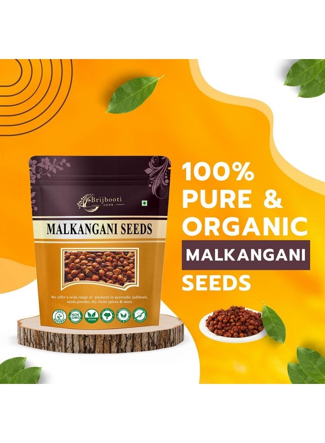 BrijBooti بريجبوتي مالكانغاني بذور 100غ | بذور مالكانغني للدماغ والذاكرة | معتمد من FSSAI و GMP و ISO | بذور جيوتيشمايتي | مالكانغني | بذور مالكاني | بذور مالكاميني الأصلية | بذور مالكانغاني - Image 4