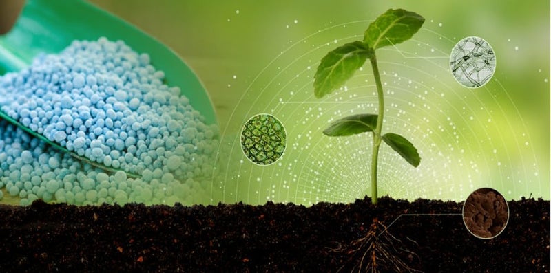 DIVINE TREE سماد ديفاين تري وندر كوت 90 NPK بطيء الإطلاق للنباتات الخارجية والداخلية حبيبات مغذية (300 جم) - Image 5