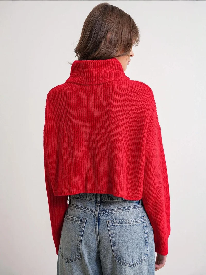 Mixray Red Mixray Textured Long Sleeve Zipped Collar Sweater for Women | Best Price UAE