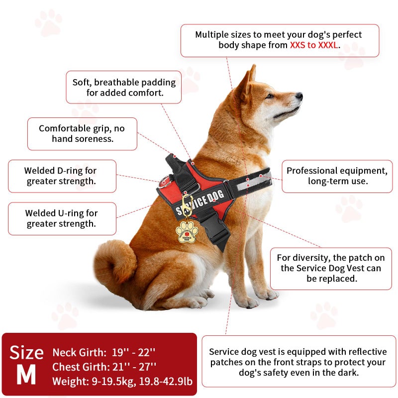 Opstin Service Dog Vest, ID Tag + 50 ADA Information Cards, Service Dog Harness w Patch in Sizes X Small to XX Large, Ruggedized Metal Tag, Service Animal Information Cards, ESA Accessory Set Medium - Image 5