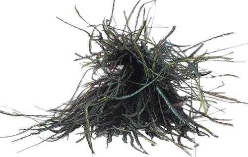 Creative Angler Strung Peacock Herl for Fly Tying or Tying Flies - Image 2