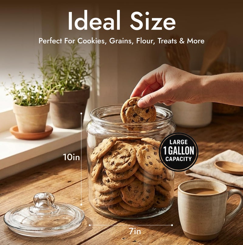 kitchentoolz 1 Gallon Glass Cookie Jar with Lid â€“ Glass Jar with Lid - Airtight Food Storage Container for Cookies, Candy, Flour, Dog Treats â€“ Clear Large Kitchen Jar for Pantry - Glass Containers with Lids - Image 4