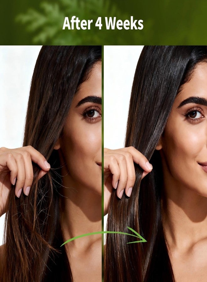 gowwim Usman Grass Shampoo Bar, 2 Pcs Nature Triangle Shampoo Bar 3-in-1 Hair Wellness Bar, Calming & Strengthens Hair, Polygonum & Cipressus Orientalis Herbal Soap, Includes Foaming Net - Image 5