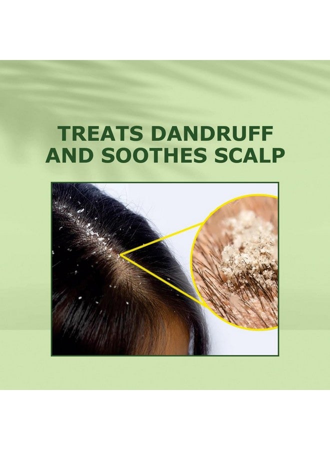 Nuerma Science Tea Tree Rosemary Hair Oil For Hair Growth, Healthy Hair & Hair Fall Control, 100 Ml - Image 2