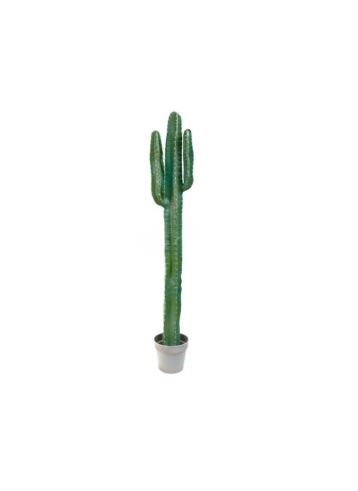 HRT WALL Cactus Cereus big 141cm (with white needles) - green 