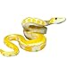 Higherbros Realistic Fake Snake Toy Rubber Gag Toys Python Snake Action Figure for Halloween Prank Props Fake Snake Scare Birds and Squirrels Boa Constrictor Figurine Scary Prank Toys for Kids - Image 2
