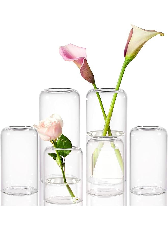 The Bros Glass Bud Vase Set of 6, Modern Hand Blown Small Bud Vases in Bulk for Flower, Clear Cylinder Glass Vase for Wedding Decorative,Living Room Home Décor - Image 1
