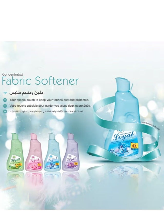 لويال منعم ومعطر أقمشة مركز برائحة بتلات زرقاء، 30 غسلة، 2 × 750 مل - Image 3