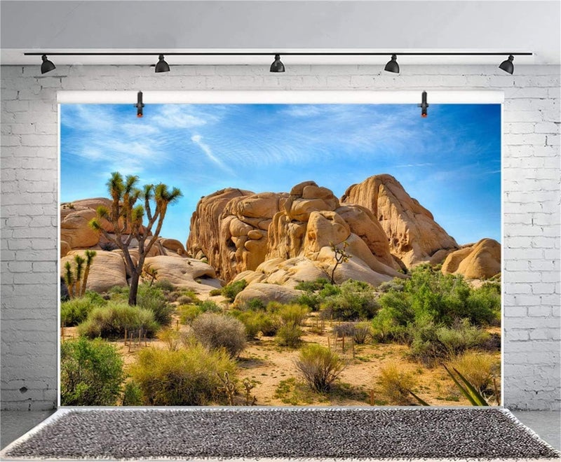CSFOTO Polyester 8x6ft Joshua Tree National Park Backdrop Arid Barren Cactus Sandstone Rock Climate Mountain and Desert Scenery Backdrop Desert Terrarium Background - Image 2