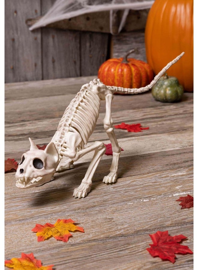 Crazy Bonez Skeleton Cat - Lil' Kitty Bonez - Image 2