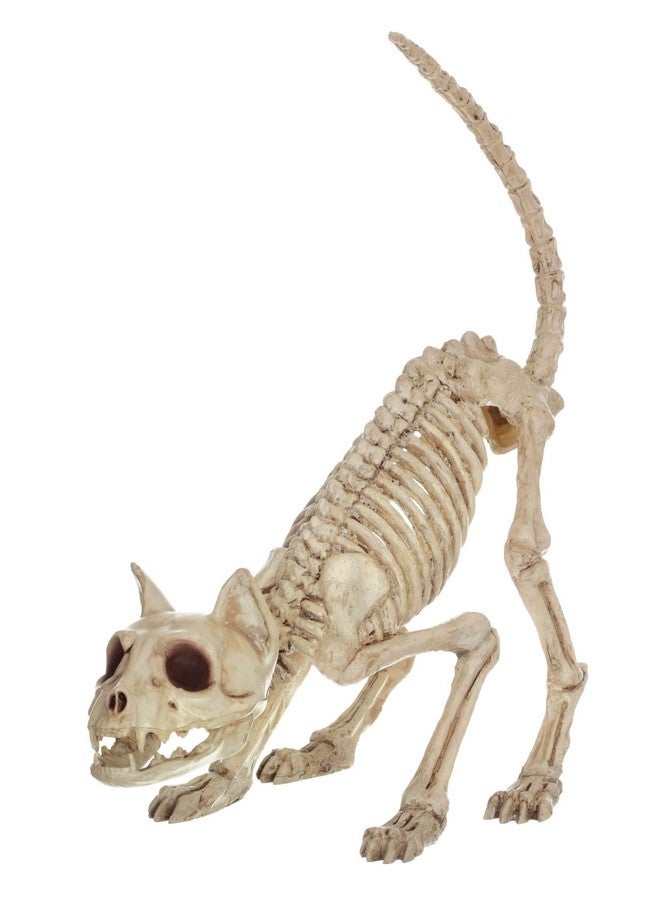 Crazy Bonez Skeleton Cat - Lil' Kitty Bonez - Image 1