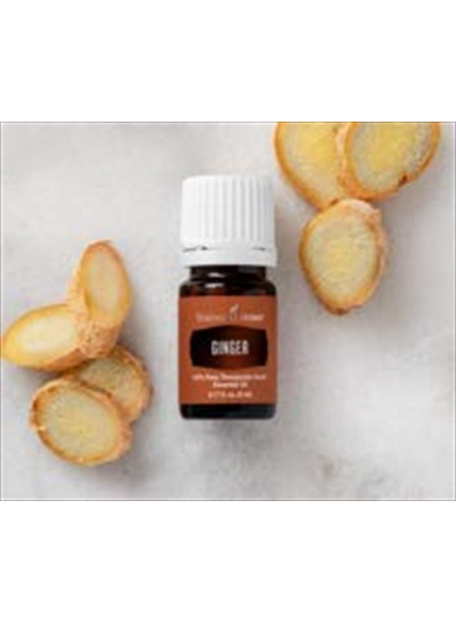 Young Living Ginger Essential Oil 5ml by Young Living Essential Oils  - Image 2