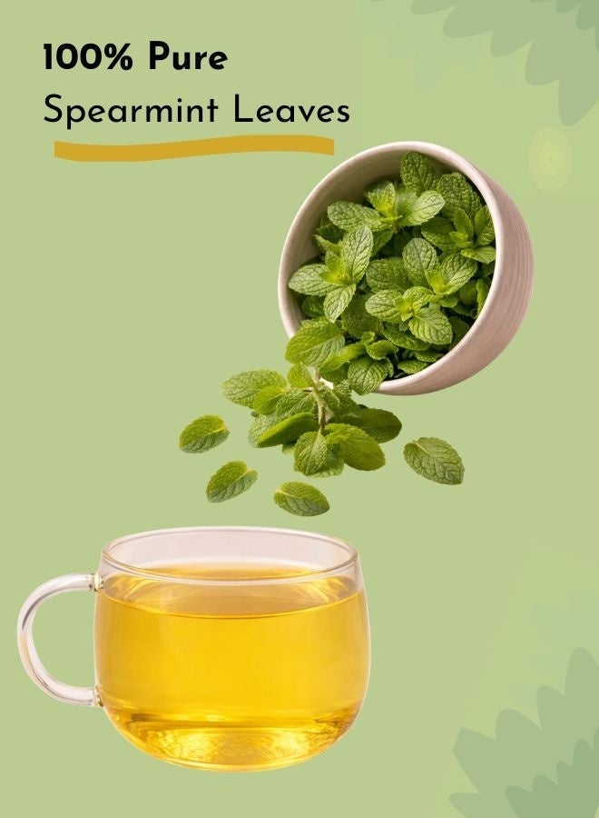 LEAFY LITTLE THINGS Mint Glow Herbal Loose Tea | 100% Spearmint Leaves | Digestive & Hormone Balance Tea | Caffeine-Free | 50g - Image 4