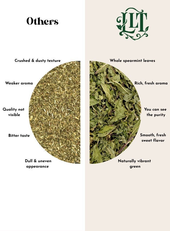 LEAFY LITTLE THINGS Mint Glow Herbal Loose Tea | 100% Spearmint Leaves | Digestive & Hormone Balance Tea | Caffeine-Free | 50g - Image 3