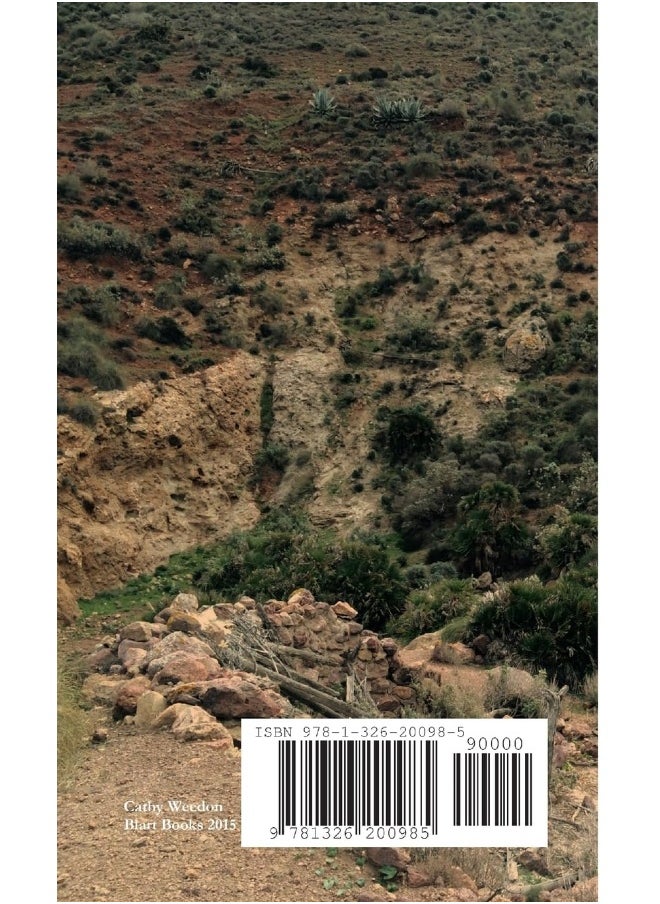 1-50  - Image 2