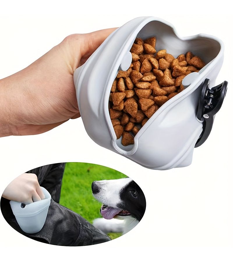 Cyan Outdoor Pet Training Bag Portable Treat Dog Food Waist Pack - Image 1