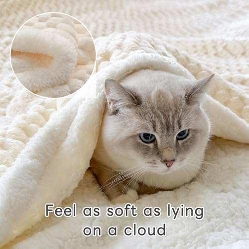 Gracelife Sherpa Throw Blanket for Couch Flannel Cozy Soft Thick Blanket Warm Twin Blanket for Bed Fleece Home Decor Gifts, Z01 - White, 60"*80" - Image 3