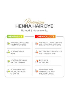 PARALLEL PRODUCTS Parallel Products Spot Color Henna Kit - Henna Hair Dye - 3 grams - Tint for Professional Spot Coloring - With Mixing Dish - Covers Grey Hair - Root Touch Up (Light Brown)  - Image 3