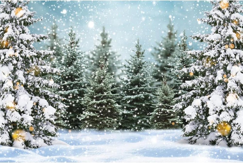 BPA خلفية تصوير عيد الميلاد السعيد BPA - Image 4