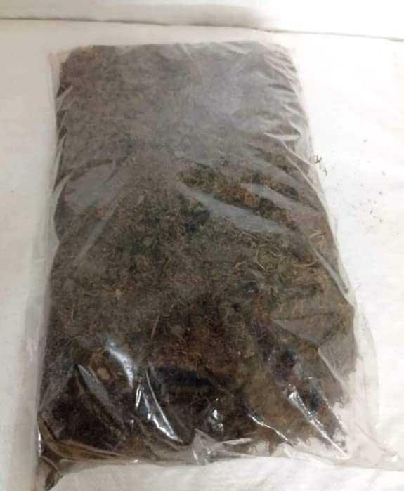 CAPPL Sphagnum Dry Moss for Orchid Plant Soil Air Layering and Mulching 1500g (Green & Brown) Home & Garden - Image 4
