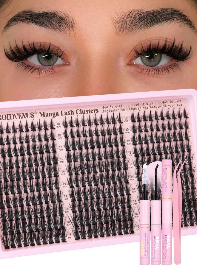 Goddvenus Manga Lash Clusters Kit Natural 300 Pcs Cluster Eyelash Extensions Kit Wispy Fairy Fluffy Eyelash Clusters Anime Cosplay Individual Lash Extensions Kit CC Curve 10-16mm - Image 1