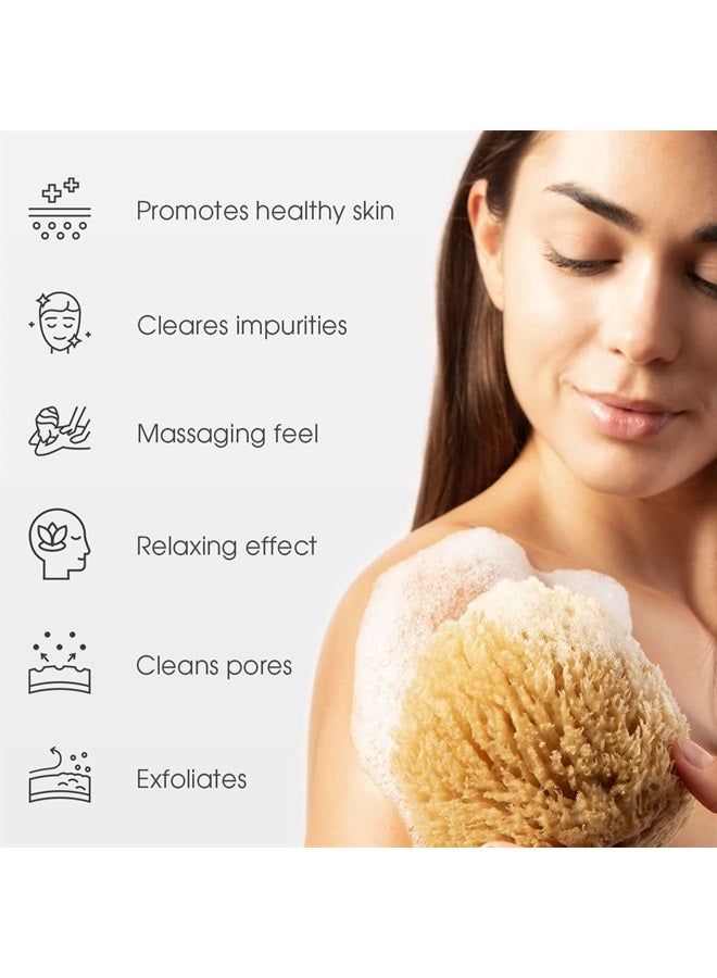 Naroa Natural Sea Sponge for Bathing | Exfoliating Bath Sponge for Healthy Skin | Unbleached Shower Body Scrubber Puff | Eco Friendly Plastic Free Renewable Sponge Small (Small) - Image 1