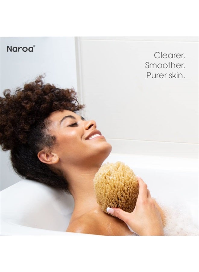 Naroa Natural Sea Sponge for Bathing | Exfoliating Bath Sponge for Healthy Skin | Unbleached Shower Body Scrubber Puff | Eco Friendly Plastic Free Renewable Sponge Small (Small) - Image 2