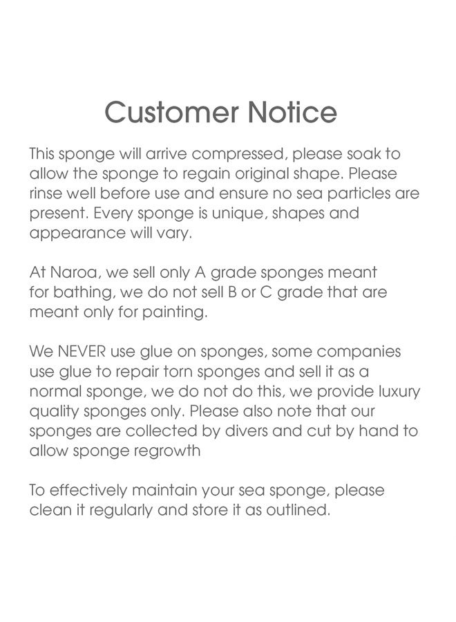 Naroa Natural Sea Sponge for Bathing | Exfoliating Bath Sponge for Healthy Skin | Unbleached Shower Body Scrubber Puff | Eco Friendly Plastic Free Renewable Sponge Small (Small) - Image 3
