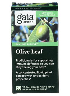 Gaia Herbs Olive Leaf - Traditional Immune Health Support - Immune System Supplement with Olive Leaf Extract and Oleuropein - 60 Vegan Liquid Phyto-Caps