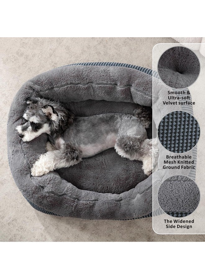 INVENHO Small Dog Bed for Small Dogs, Cat Beds for Indoor Cats Washable, Orthopedic Dog Bed, Warming Soft Calming Sleeping Puppy Bed Durable Pet Bed with Anti-Slip Bottom S(20"x19"x6") - Image 2