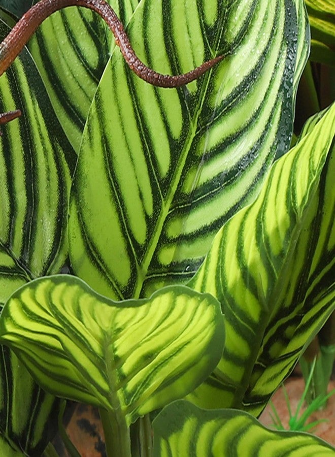 IBWell Reptile Terrarium Plants - Tortoise Habitat Accessories, Artificial Spider Plant for Gecko, Ball Python - Calathea Makoyana A - Image 3