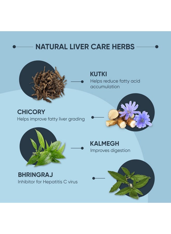 DR. VAIDYA'S Dr Vaidya’s Liver Care Capsules | Liver Detox | Bhringraj, Wheatgrass Juice, Ginseng | FDA Approved | Safe for long term use | 30 Capsules (Pack of 3)  - Image 4