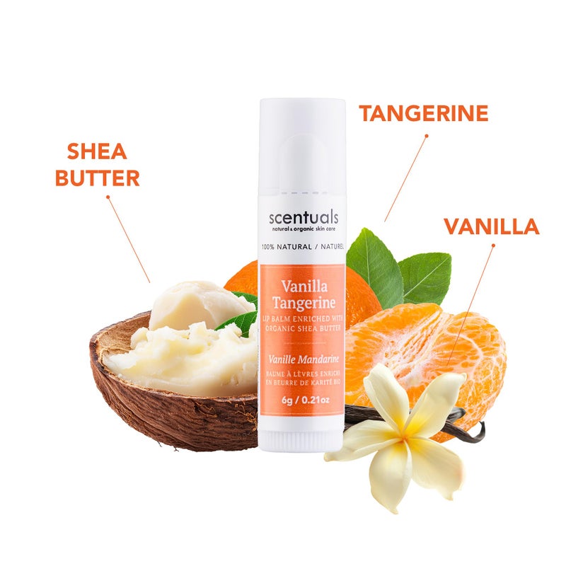 Scentuals Lip Balm Vanilla Tangerine Set of 3, Made with Shea Butter, Cocoa Butter, Avocado & Jojoba oil, Beeswax, Vitamin E and Essential oil, Moisturizing Lip Care, Cruelty Free Hydration, Natural (3 Pack) - Image 2