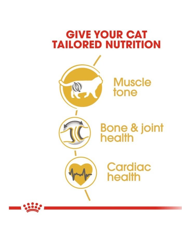 ROYAL CANIN تغذية سلالة القطط البريطانية شورت هير البالغة 4 كجم - Image 4