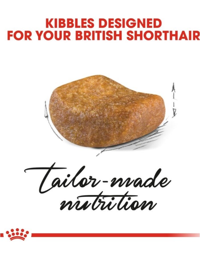 ROYAL CANIN تغذية سلالة القطط البريطانية شورت هير البالغة 4 كجم - Image 2