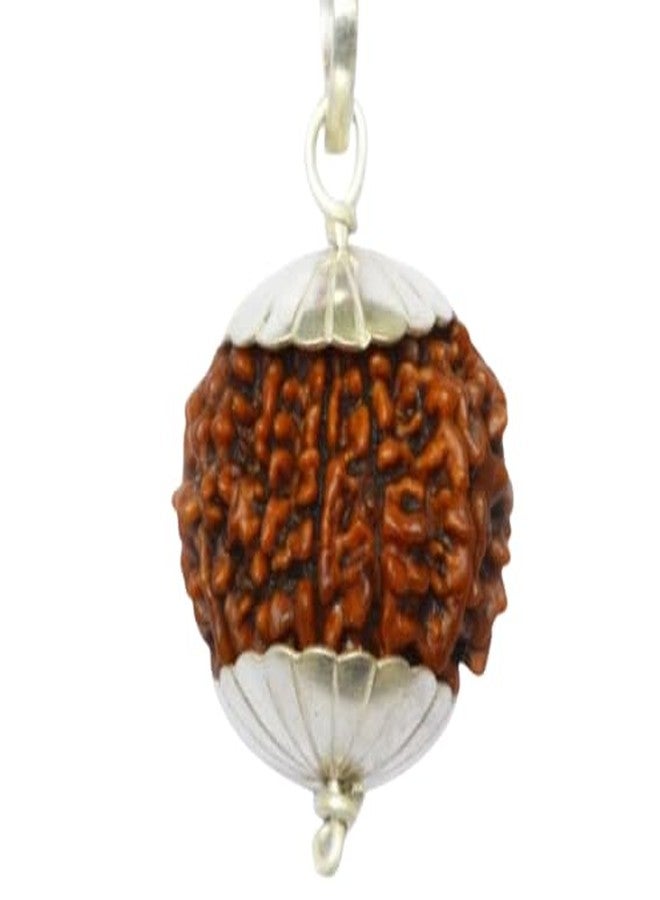 IRIS GEMS 10 Mukhi Rudraksha Original Certified With Silver Capping 10 Face Rudraksha 10 मुखी रुद्राक्ष Ten Mukhi Rudraksha Beads Ten Face Rudraksha Nepali Rudraksha Mala For Men Women तेन फेस रुद्राक्ष Dus Mukhi Rudraksha By IRIS GEMS - Image 1