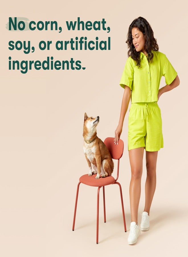 Jinx Chicken & Bacon Layers Jerky Dog Treats - Crunchy, All Natural Dog Jerky Treats with Cage-Free Chicken & Bacon - Pet Products for All Dogs (Puppies, Adults & Seniors) - 5oz - Image 2