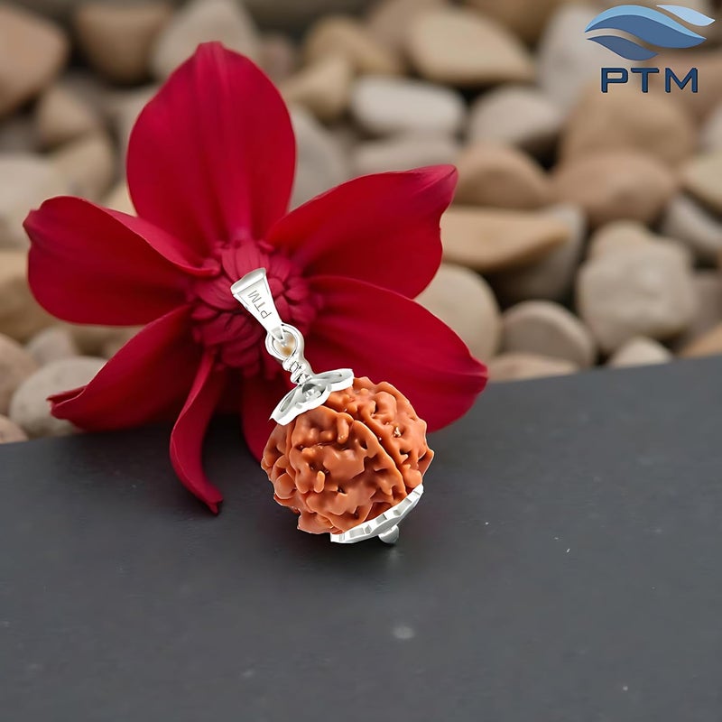 PTM رودراکشا نيبالي أصلي معتمد 1/2/3/4/5/6/7/8/9/10/11/غانش/غوريشانكار بموخى فلكي قلادة فضة استرلينية 925 علامة BIS للرجال والنساء - Image 2